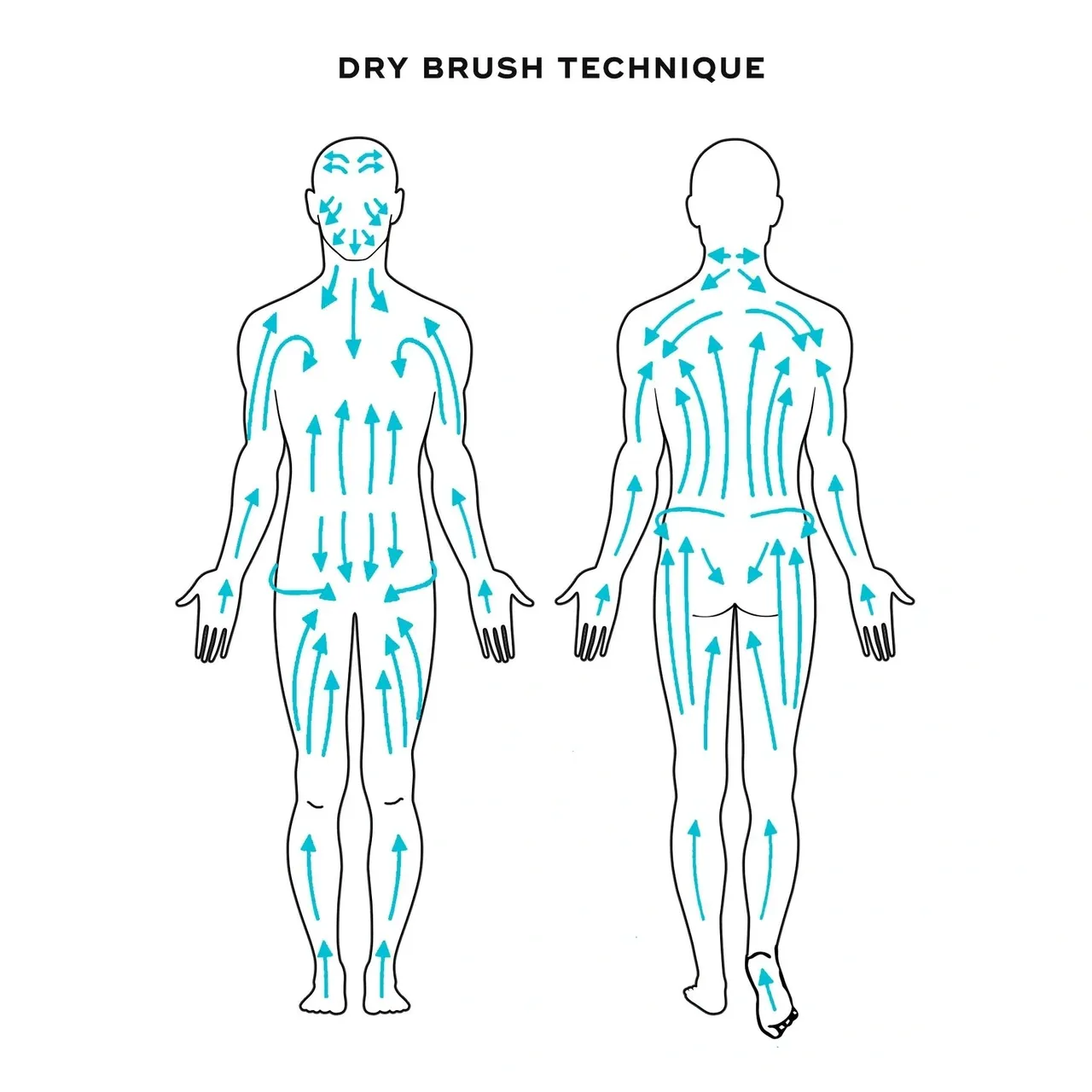 Arrows indicating dry brushing flow